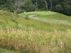 View of the fifth green from the right deep rough (73kb)